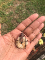 Picture Jasper Donut